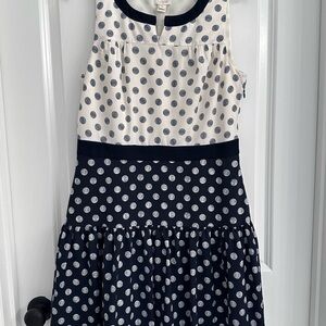 J. Crew White and Blue Fit and Flare Pleated Dress